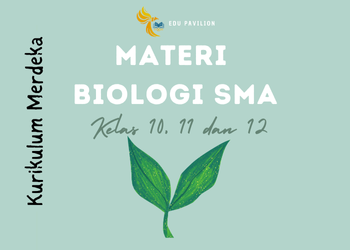 Rangkuman Lengkap Biologi SMA Kelas 10, 11, dan 12 Kurikulum Merdeka!